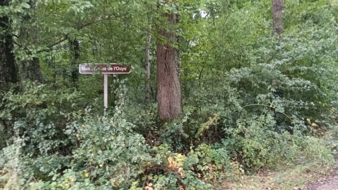 En chemin, en joie !